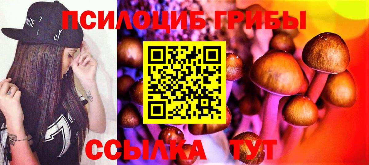 как найти закладки  Галлюциногенные грибы ЛСД  Вход с VPN  Шелехов 